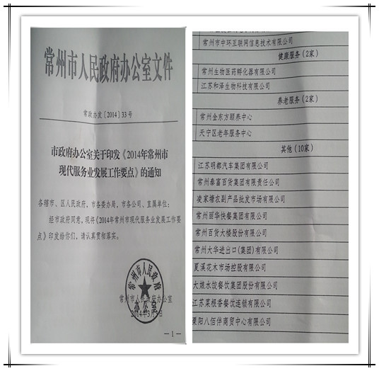 常州市政府再次確立中環(huán)互聯(lián)網(wǎng)為2014年現(xiàn)代服務(wù)業(yè)重點(diǎn)培育企業(yè)，中環(huán)互聯(lián)網(wǎng)作為常州電子商務(wù)領(lǐng)軍企業(yè)，15年專注在為企業(yè)提供互聯(lián)網(wǎng)營(yíng)銷解決方案。